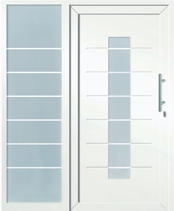 entry door 1
