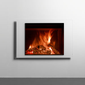 wood-burning fireplace insert
