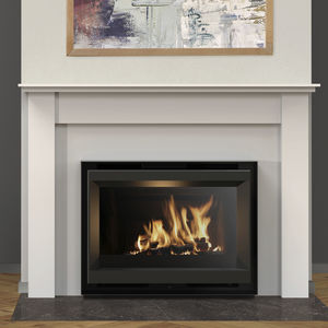 wood-burning fireplace insert