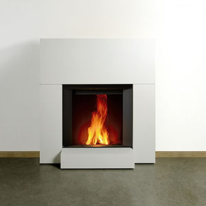 wood-burning fireplace insert 1