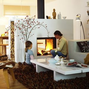 double-sided fireplace insert