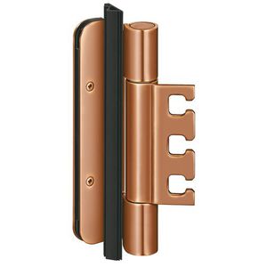 swing fire door hinge / bronze / concealed