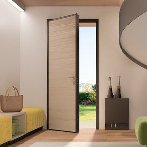 entry door 1