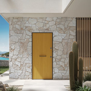 entry door 1