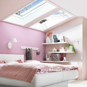 oak roof window