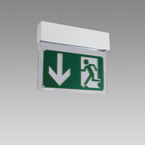 ceiling emergency light