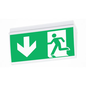 ceiling emergency light