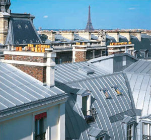 ribbed sheet metal / steel / for roofs