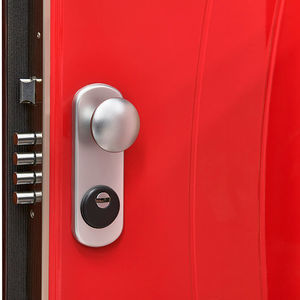 interior door 1