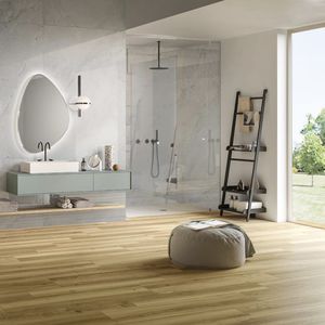 indoor tile / wall / floor / porcelain stoneware