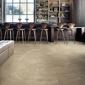 indoor tile / floor / wall / porcelain stoneware