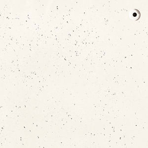 porcelain tile 1