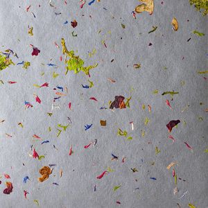 cover panel 1