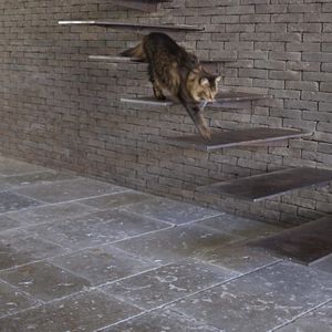 indoor tiles