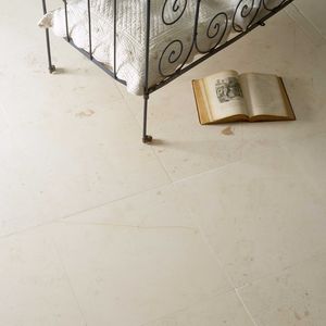 natural stone paving slab