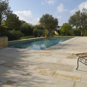natural stone paving slab