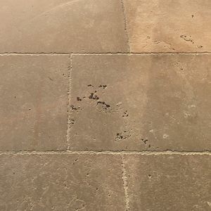 natural stone paving slab