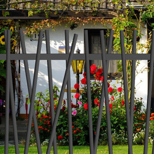 fence with bars