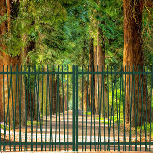 swing gate