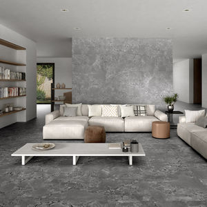indoor tile / wall / floor / porcelain stoneware