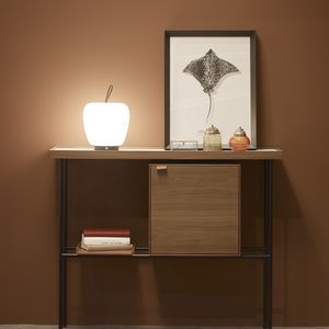 portable lamp