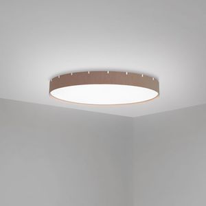 contemporary ceiling light