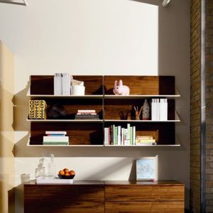 wall-mounted shelves