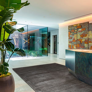 modern rug