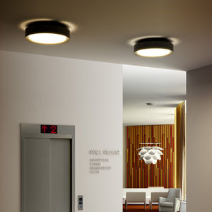 contemporary ceiling light
