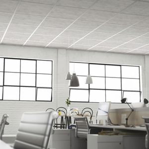 PET suspended ceiling