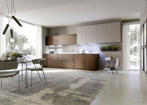 contemporary kitchen 1