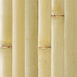 wooden paneling
