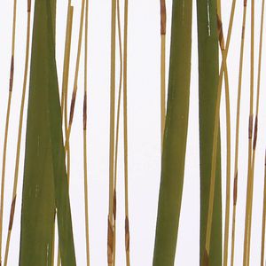resin decorative panel / for interior / wall-mounted / translucent