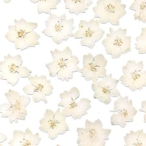 resin decorative panel / for interior / wall-mounted / translucent
