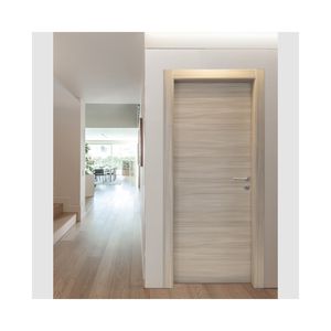 interior door 1