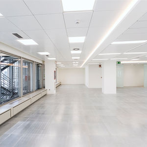 steel suspended ceiling