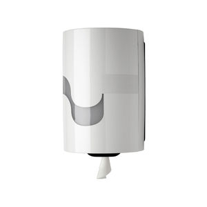 wall-mounted paper towel dispenser