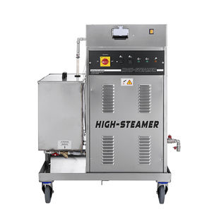 sanitation steam generator