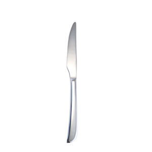steak knife with stainless steel handle