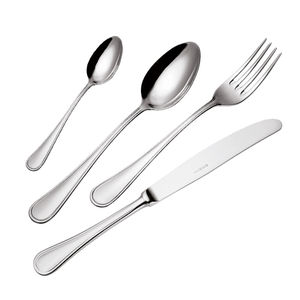 polished stainless steel cutlery