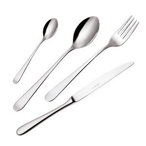 polished stainless steel cutlery