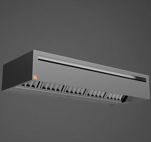 wall-mounted range hood