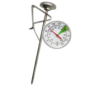 food thermometer 1
