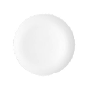 flat plate 1