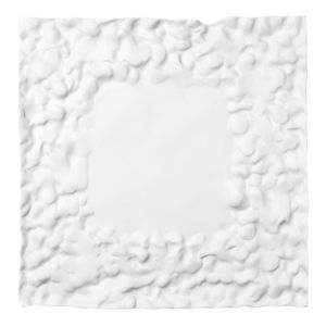 flat plate
