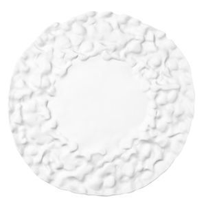 flat plate 1