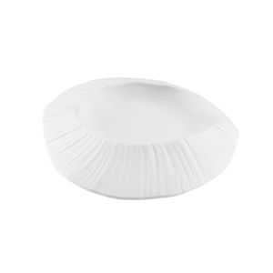 porcelain plate 1
