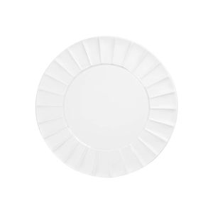 flat plate 1