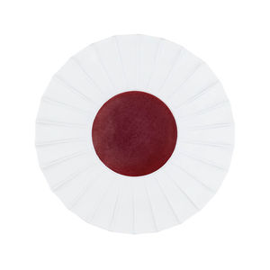 flat plate 1