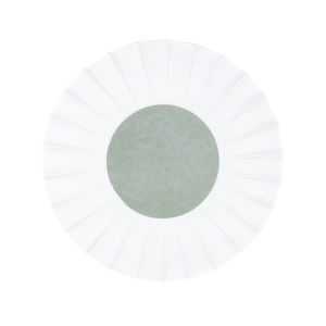 flat plate 1